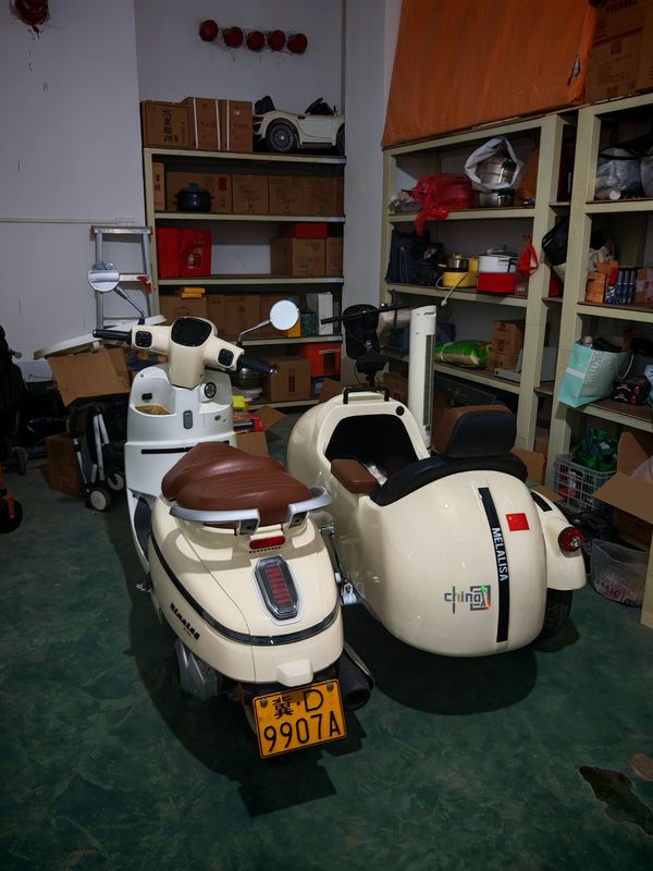 二手南方梦拉丽莎 飞戈边三轮