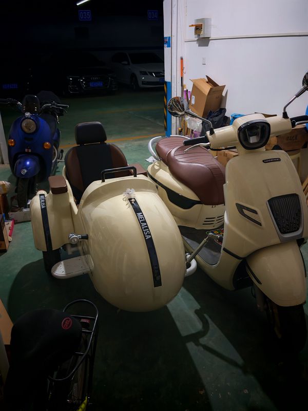 二手南方梦拉丽莎 飞戈边三轮