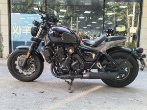 二手长江Bobbie Ⅱ 450S