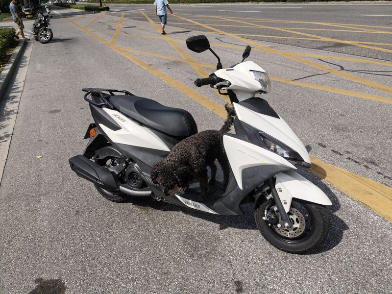 二手建设雅马哈福禧125