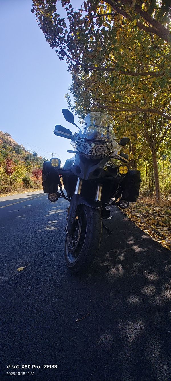 二手贝纳利金鹏 TRK502