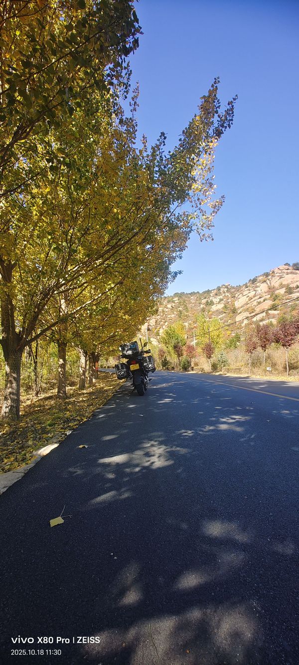 二手贝纳利金鹏 TRK502