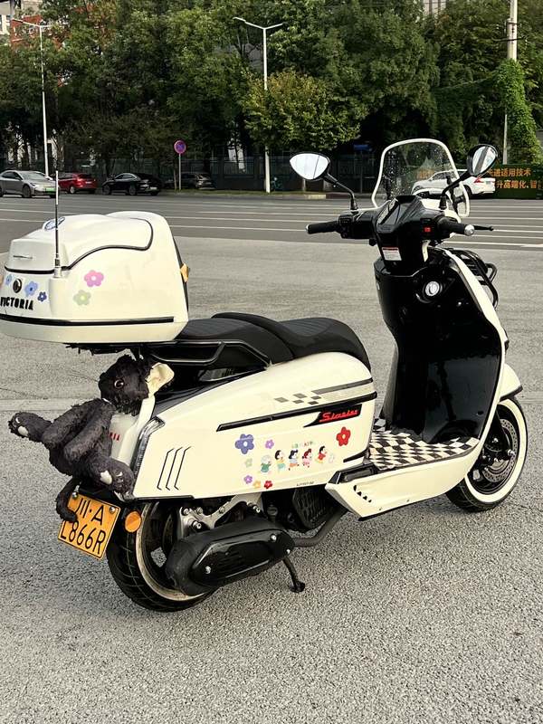 二手维多利亚Sixties 150Si