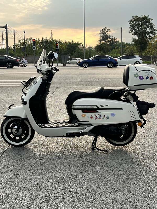 二手维多利亚Sixties 150Si