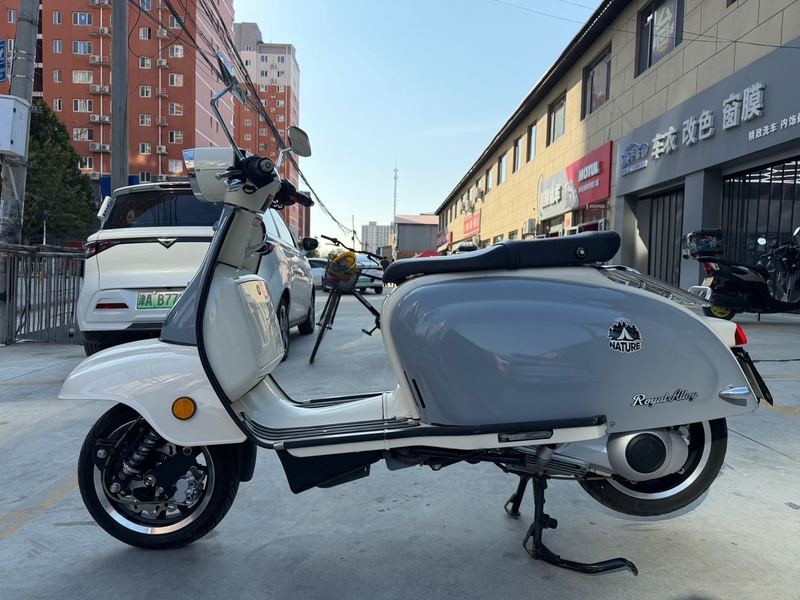 二手ROYAL ALLOYGP300S(进口)