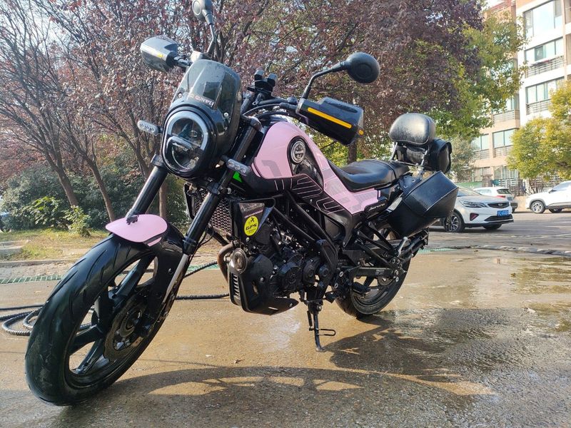 二手贝纳利幼狮 Leoncino 150