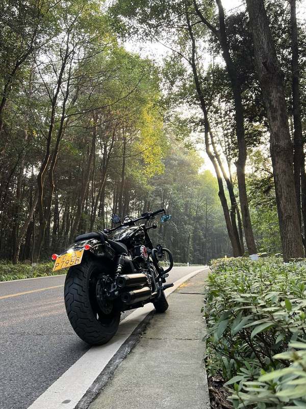 二手奔达金吉拉450