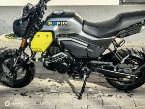 二手春风XO狒狒