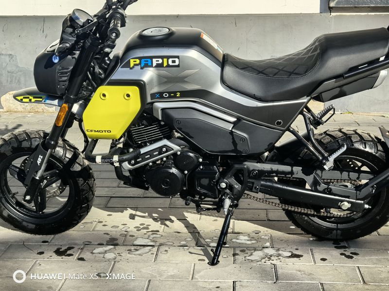 二手春风XO狒狒