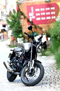 二手五羊本田鸷道 CB190SS