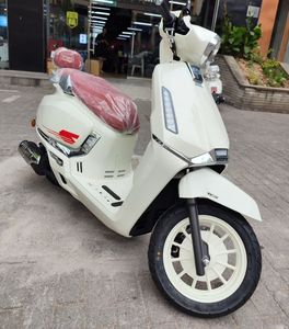 二手QJMOTOR阳光迪诺