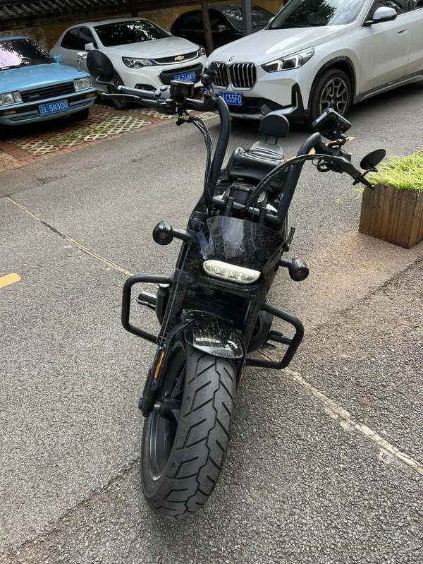二手哈雷戴维森Sportster S