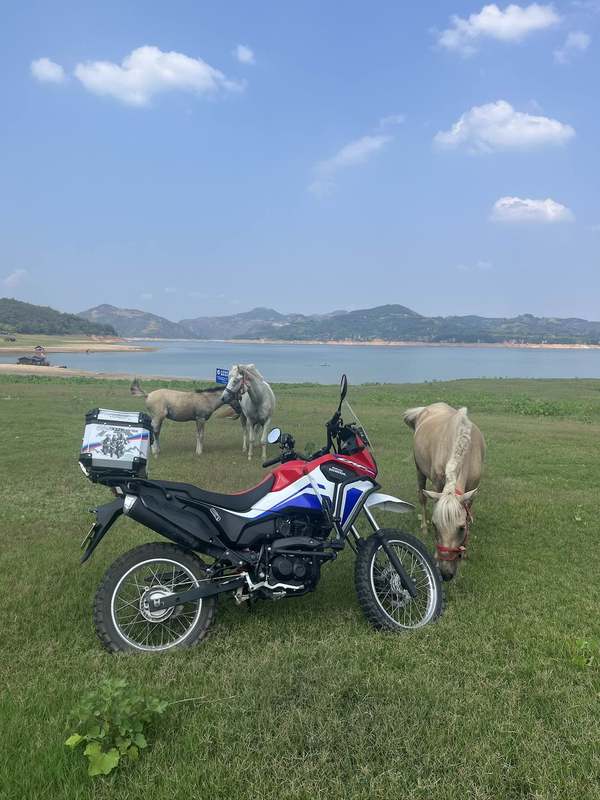 二手新大洲本田CRF190L