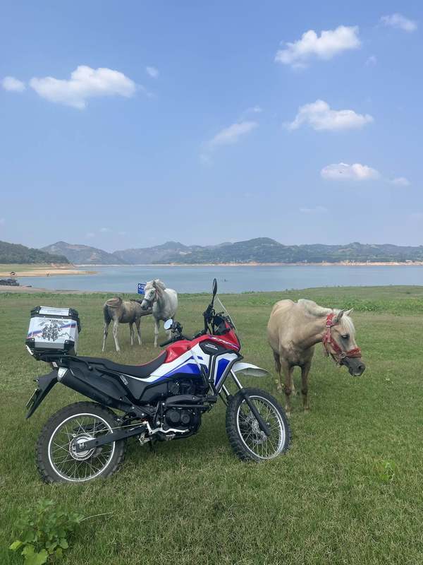 二手新大洲本田CRF190L