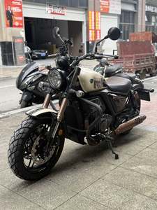 二手赛科龙RA401