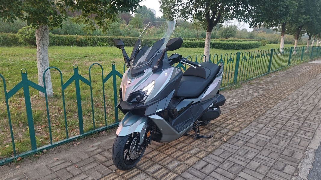 二手三阳巡弋 Cruisym250