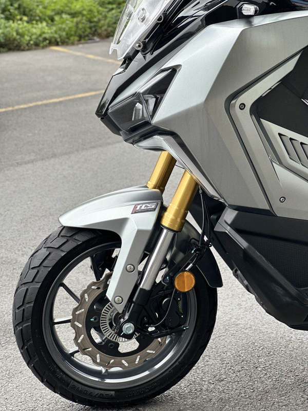 二手三阳剑齿虎 ADXTG