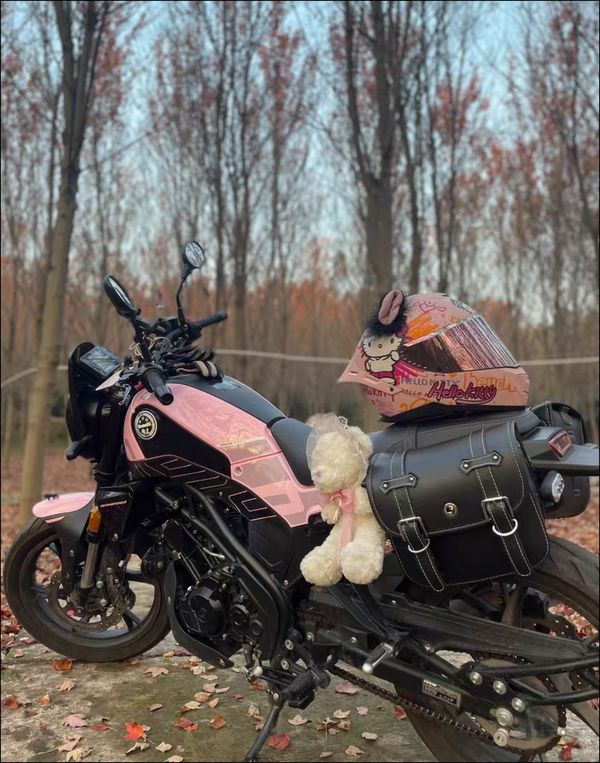 二手贝纳利幼狮 Leoncino 150