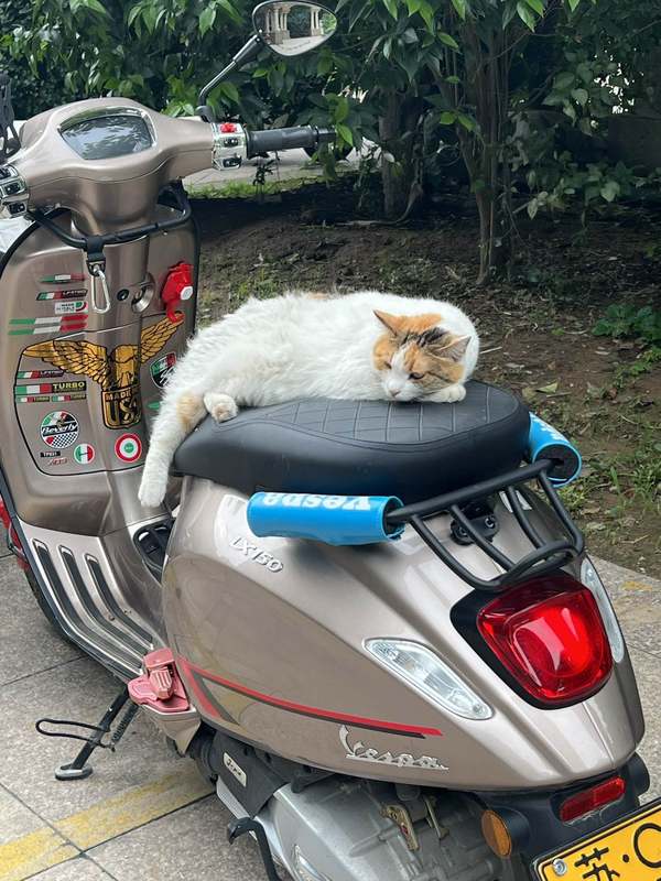 二手VESPAPrimavera 150