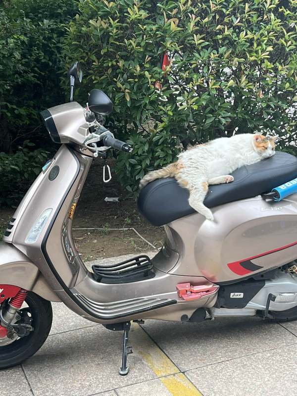 二手VESPAPrimavera 150