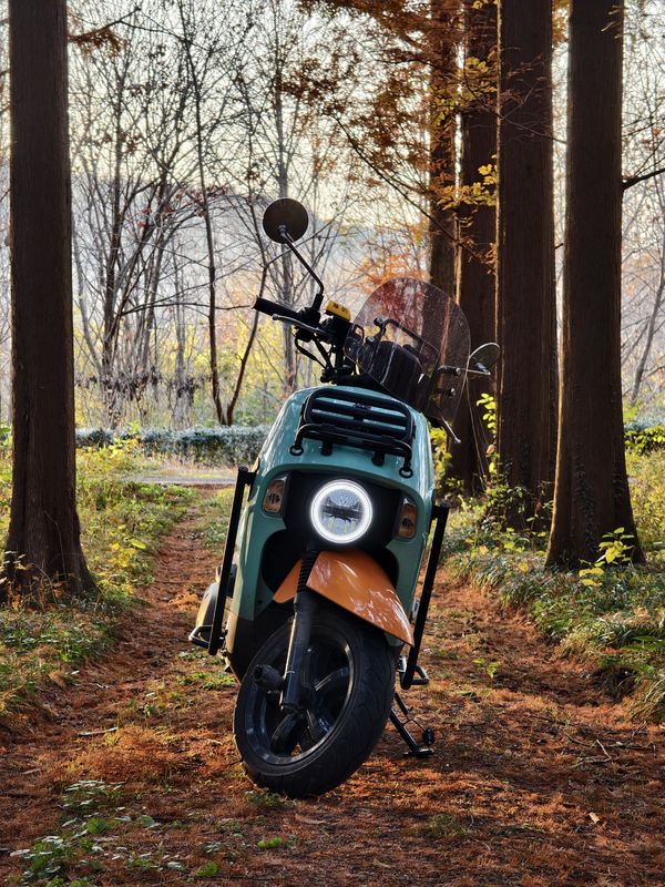 二手三阳小蚂蚁 4MICA