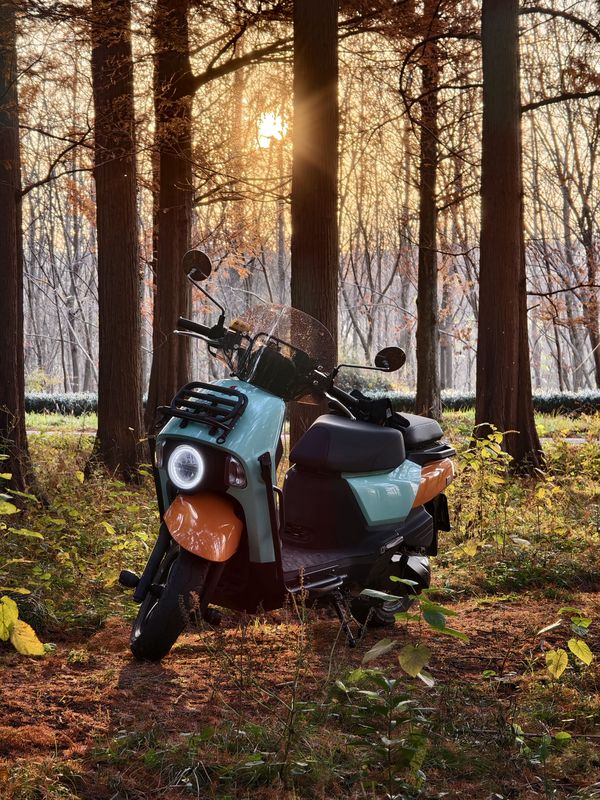 二手三阳小蚂蚁 4MICA