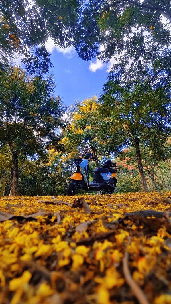 二手三阳小蚂蚁 4MICA