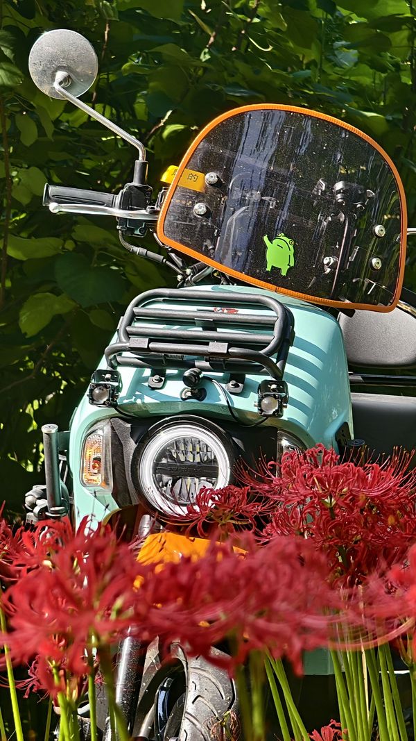 二手三阳小蚂蚁 4MICA