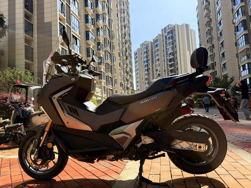 二手三阳剑齿虎 ADXTG