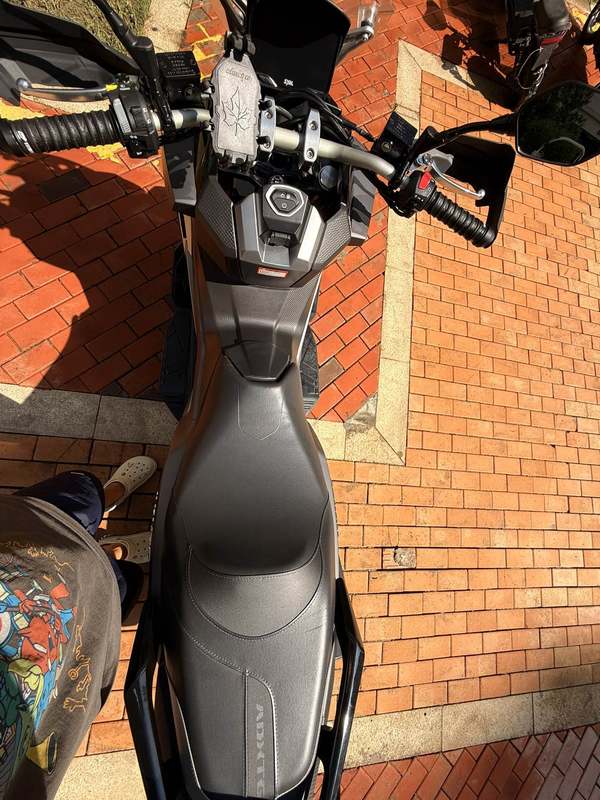 二手三阳剑齿虎 ADXTG