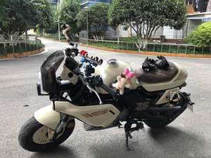 二手宗申小熊
