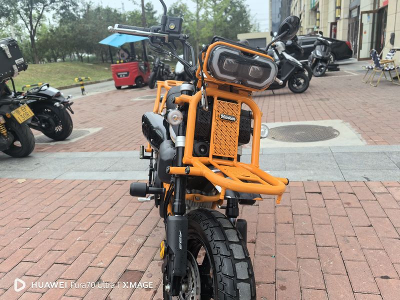 二手曼肯灵明-野趣