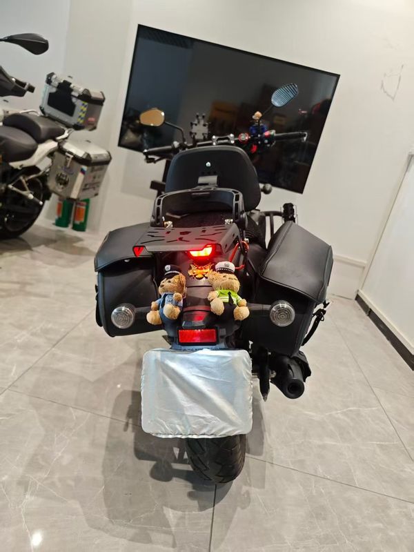 二手赛科龙RA250