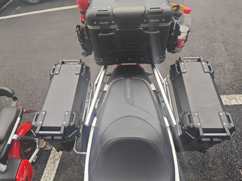 二手三阳剑齿虎 ADXTG