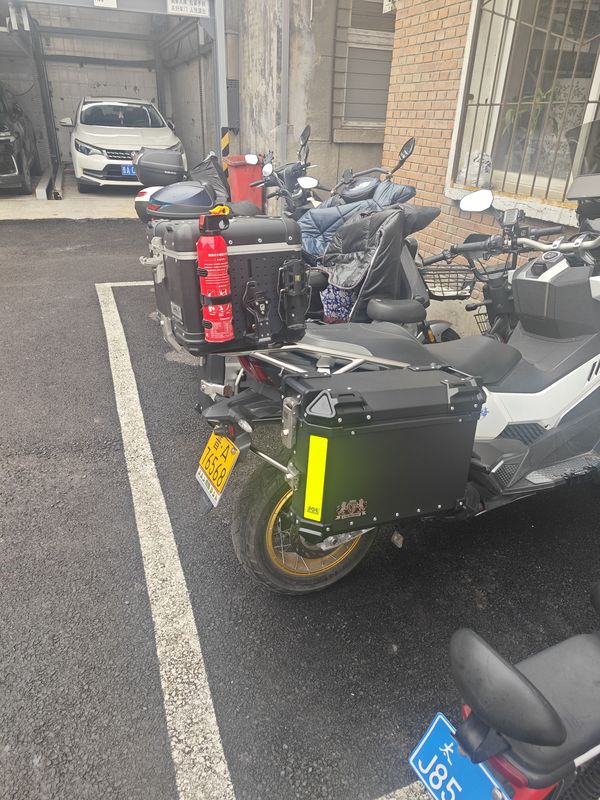 二手三阳剑齿虎 ADXTG