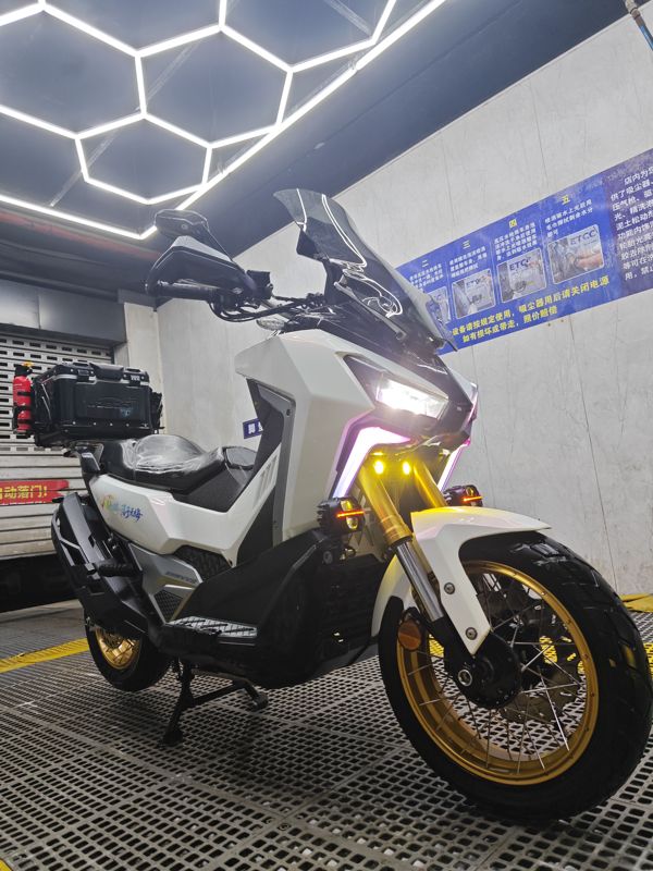 二手三阳剑齿虎 ADXTG