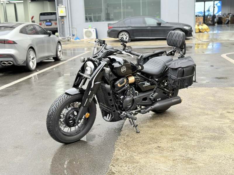 二手赛科龙RA600