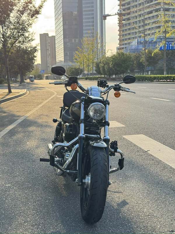 二手哈雷戴维森1200 Custom