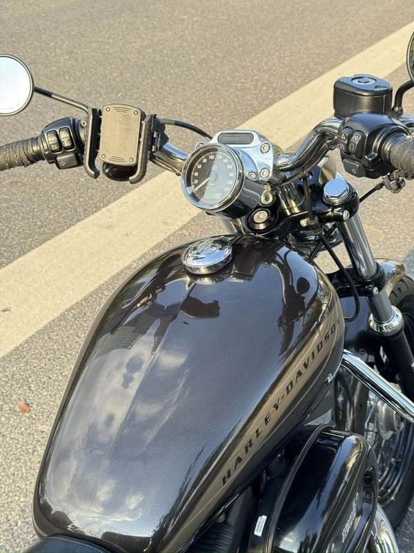 二手哈雷戴维森1200 Custom