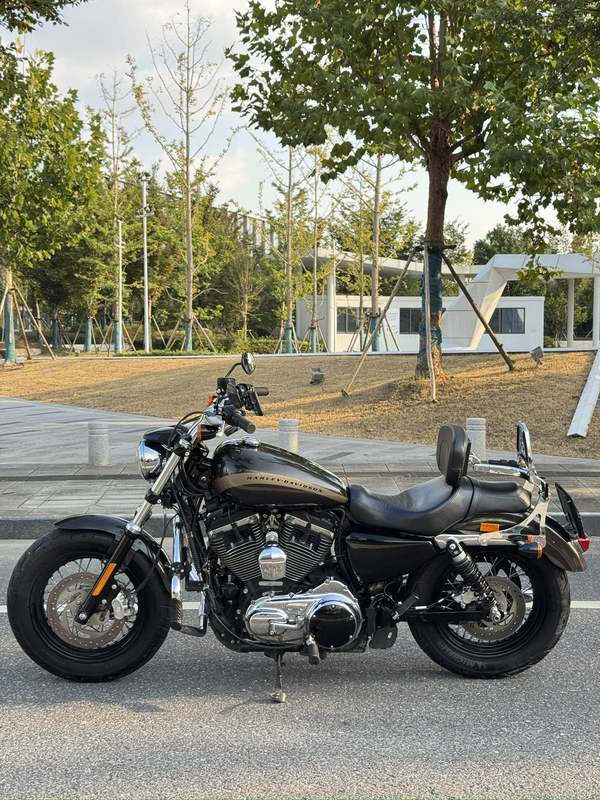 二手哈雷戴维森1200 Custom