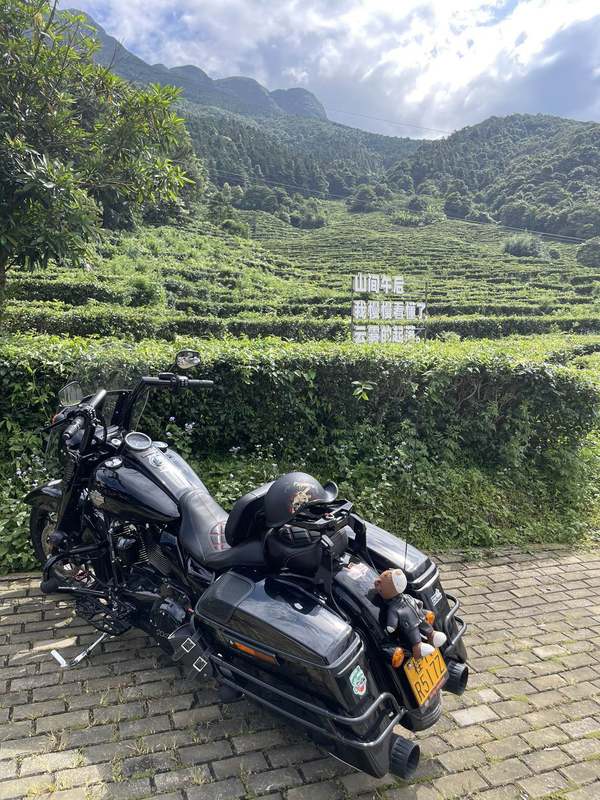 二手哈雷戴维森路王定制版 Road King Special
