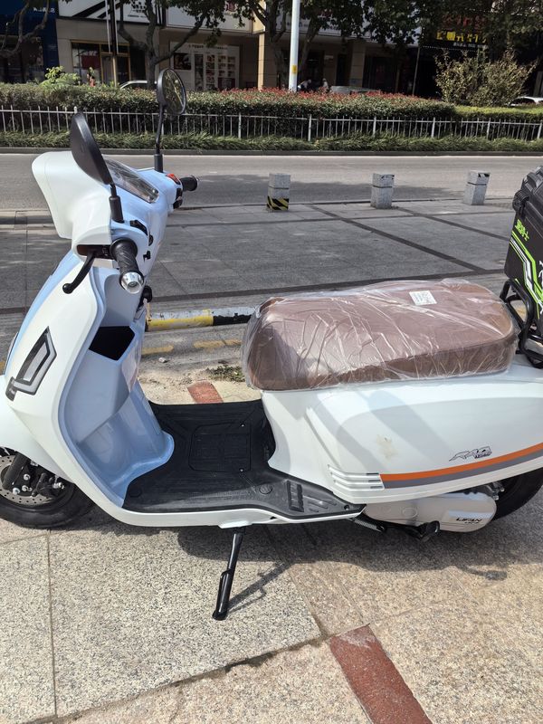 二手力帆RAD125 布偶猫