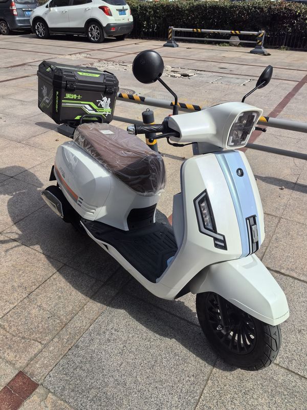 二手力帆RAD125 布偶猫