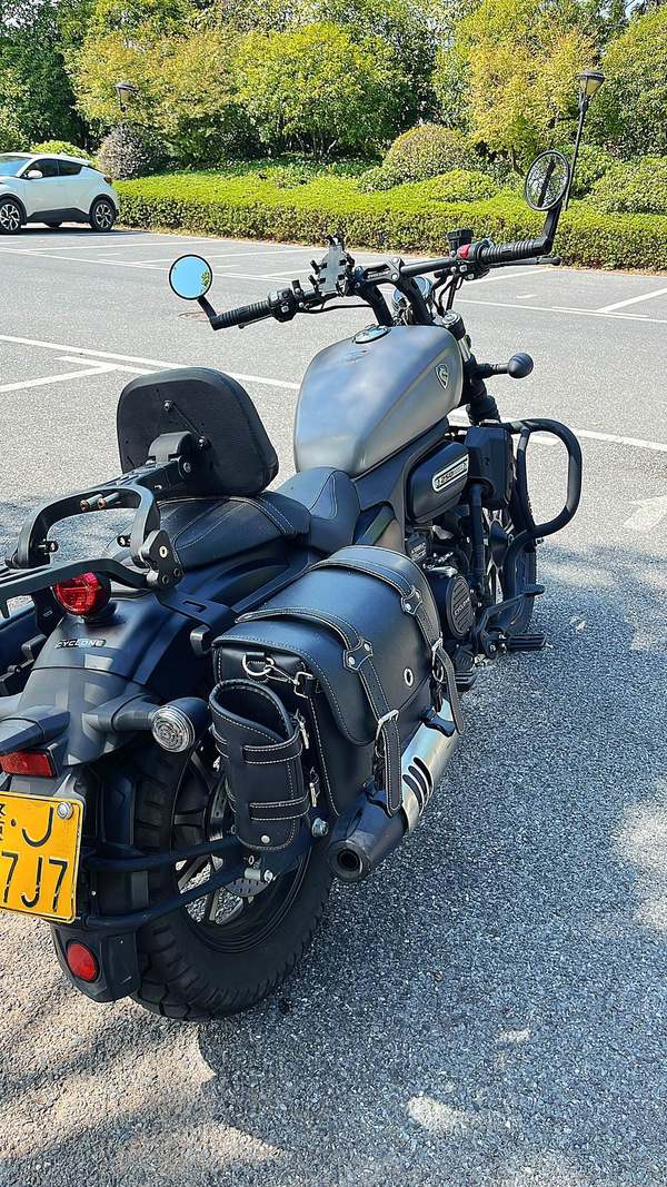 二手赛科龙RA250