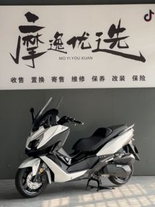 二手三阳巡弋 Cruisym250