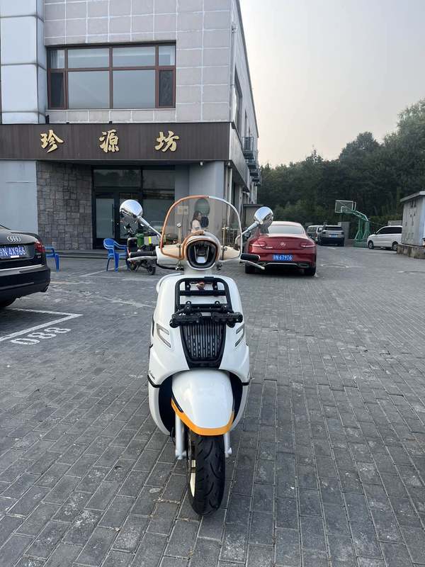 二手南方梦拉丽莎 飞戈