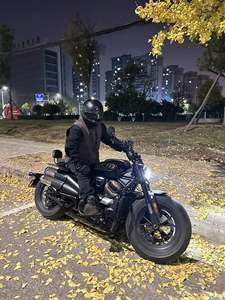二手哈雷戴维森Sportster S