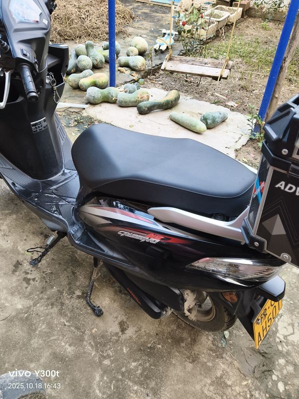 二手五羊本田Cruising 御鲨125