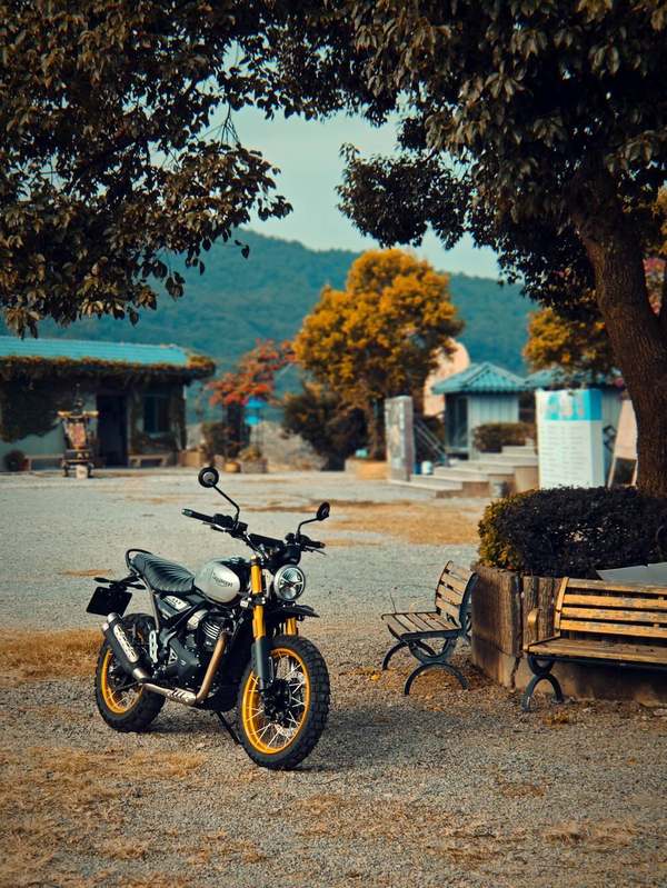 二手凯旋Scrambler 400 X