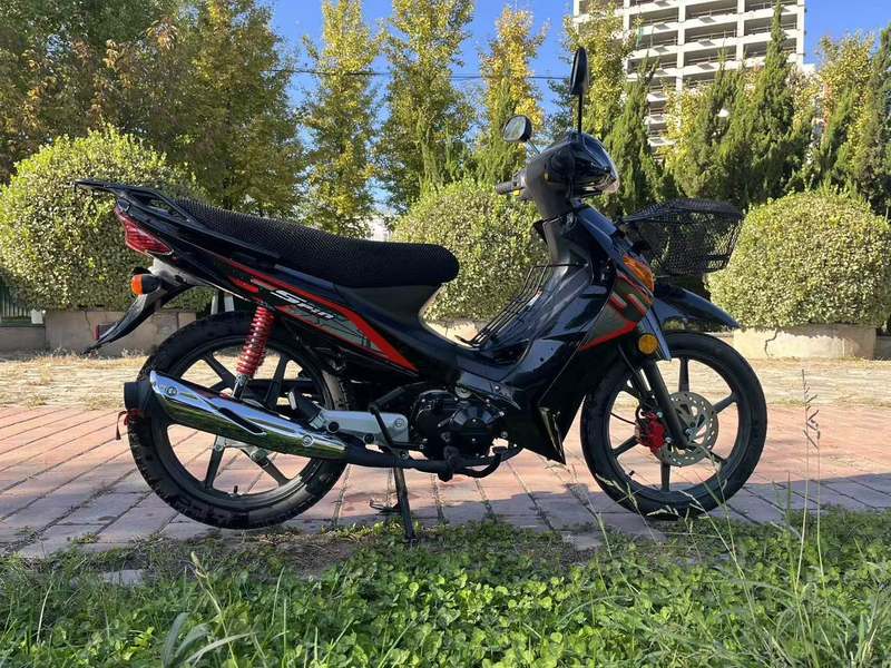 二手济南铃木赛胜QS110-4